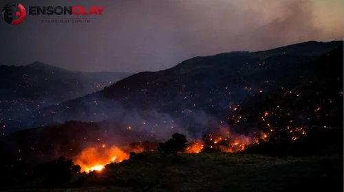 Fransa'nın güneydoğusundaki orman yangınlarında binlerce kişi tahliye edildi