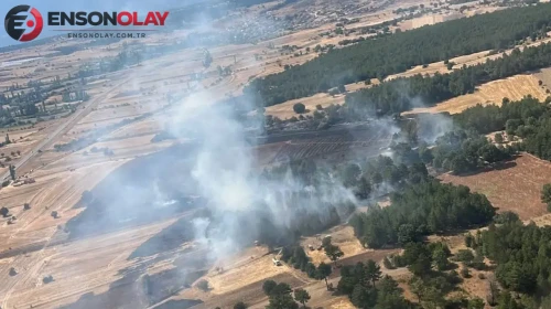 Kütahya Emet'te orman yangını : 2 hektar alan zarar gördü
