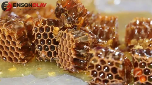 Anzer balında rekor fiyat! 7 bin liradan satılacak