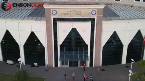 Samsun'da tütün tarlasına kenevir ekmişler : Drone destekli operasyonla yakalandı