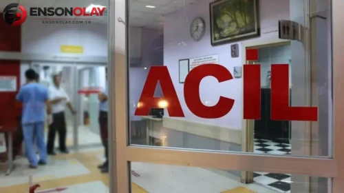 Artvin'de ATV'nin Uçuruma Devrilmesi Sonucu 17 ve 11 Yaşındaki İki Çocuk Yaralandı