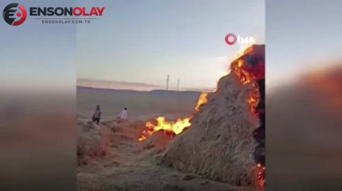 Erzurum Tekman'da çok sayıda ot balyası yandı