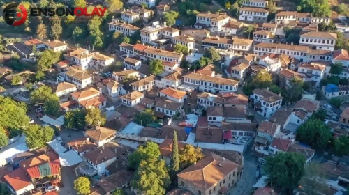 Ukrayna'da savaşın etkileri : Khrypivka Köyü'nde evler telefon fiyatına satılıyor