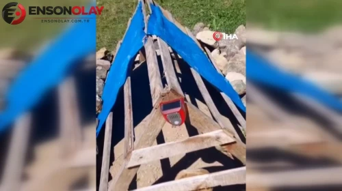 Mezarı ayılardan korumak için köpek sesi çıkaran düzenek kuruldu