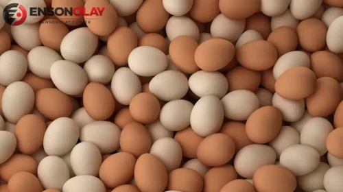 Yumurta alırken dikkat edilmesi gerekenler nelerdir?