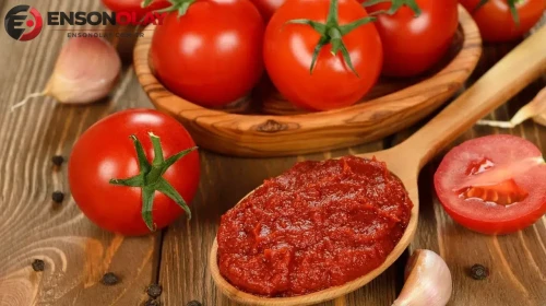 Domates salçasının beyin fonksiyonlarına etkileri neler? Yeni araştırmalar ne gösteriyor?