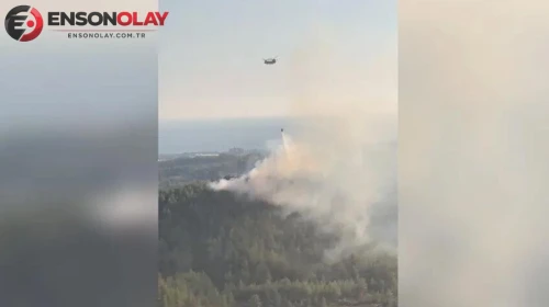 Antalya'da orman yangını: Havadan ve karadan müdahale ediliyor