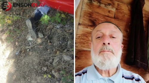 Artvin'de elektrikli araç şarampole devrildi: Sürücü hayatını kaybetti