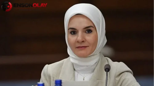 Bakan Göktaş duyurdu : Özel okullarda ücretsiz eğitim başvurularında sonuçlar belli oldu