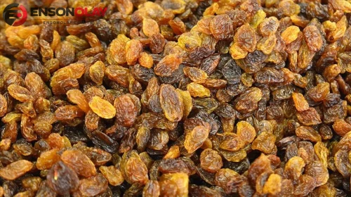 TARİŞ kuru üzüm avans fiyatı açıklandı mı?