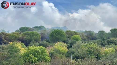 Maltepe'de ormanlık alanda yangın : Ekipler kontrol altına aldı