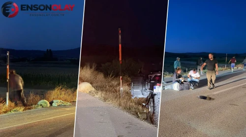 Sürüye daldı, üç koyunu telef etti... Fransız gezginin 8 bin kilometrelik yolculuğu Burdur'da kaza ile bitti