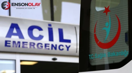 Bolu'da 2 gündür aranıyordu! Kaybolan yaşlı kadından acı haber