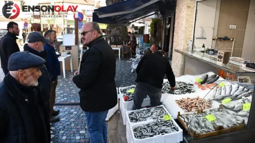 Düzce Akçakoca'da balık fiyatları neden ucuzladı?