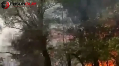 Ankara Beypazarı'nda yangın : Ekipler kontrol altına aldı