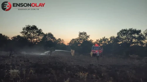 Pazaryeri, Bilecik'te Orman Yangını Kontrol Altına Alındı