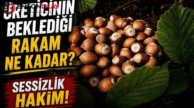 Fındık piyasasında hareketlilik bekleniyor mu? Üreticiler neyi umuyor?