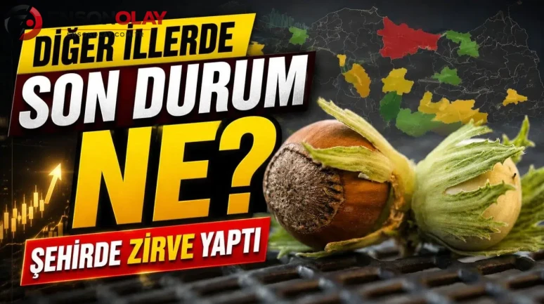 Fındık fiyatları Karadeniz'de rekor seviyede! Diğer bölgelerde durum ne?