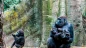 Ruanda'da dağ gorilleri nerede yaşıyor ?
