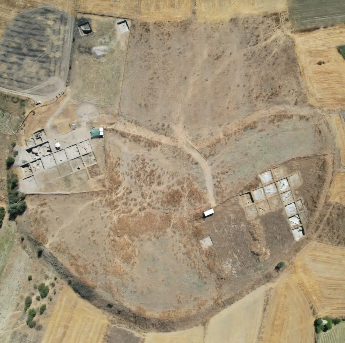 4 bin yıllık kerpiçte köpek patisi izi: Tavşanlı Höyük kazılarında tarihi keşif-3
