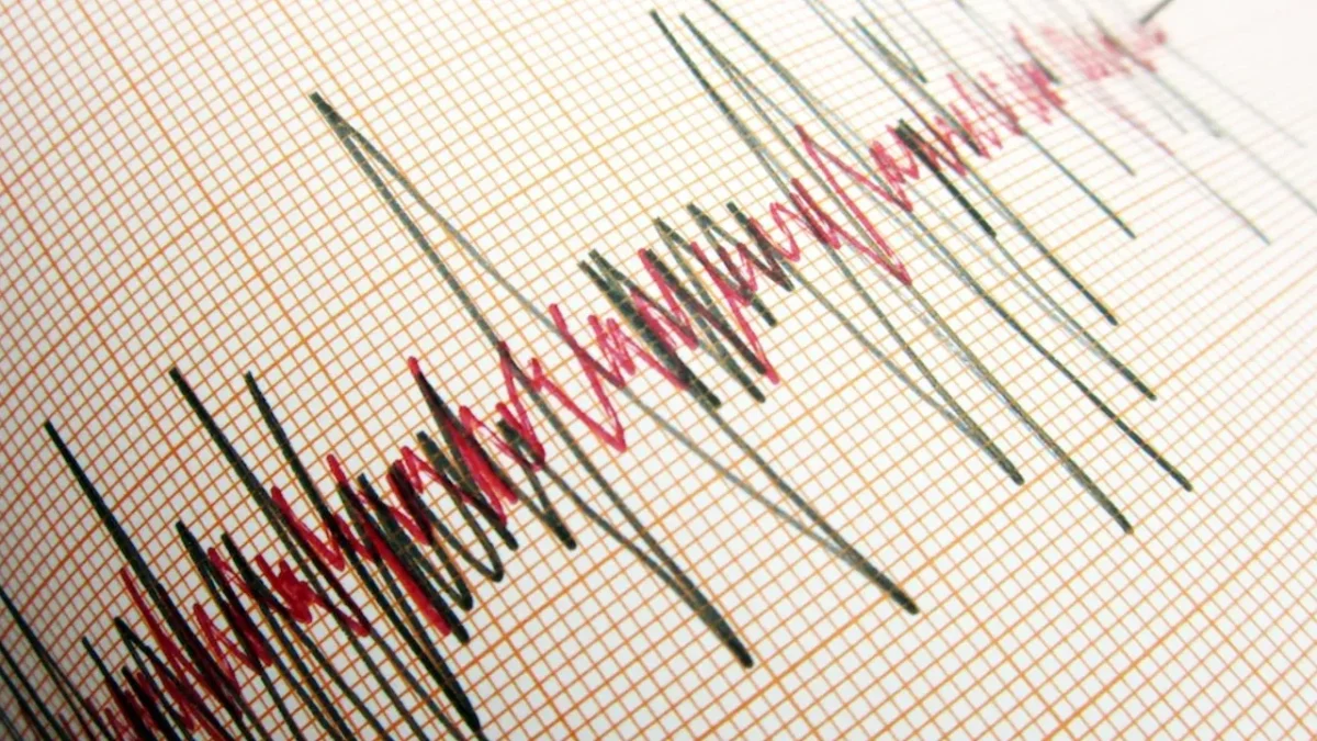 Ege Denizi sallandı: Datça açıklarında korkutan deprem