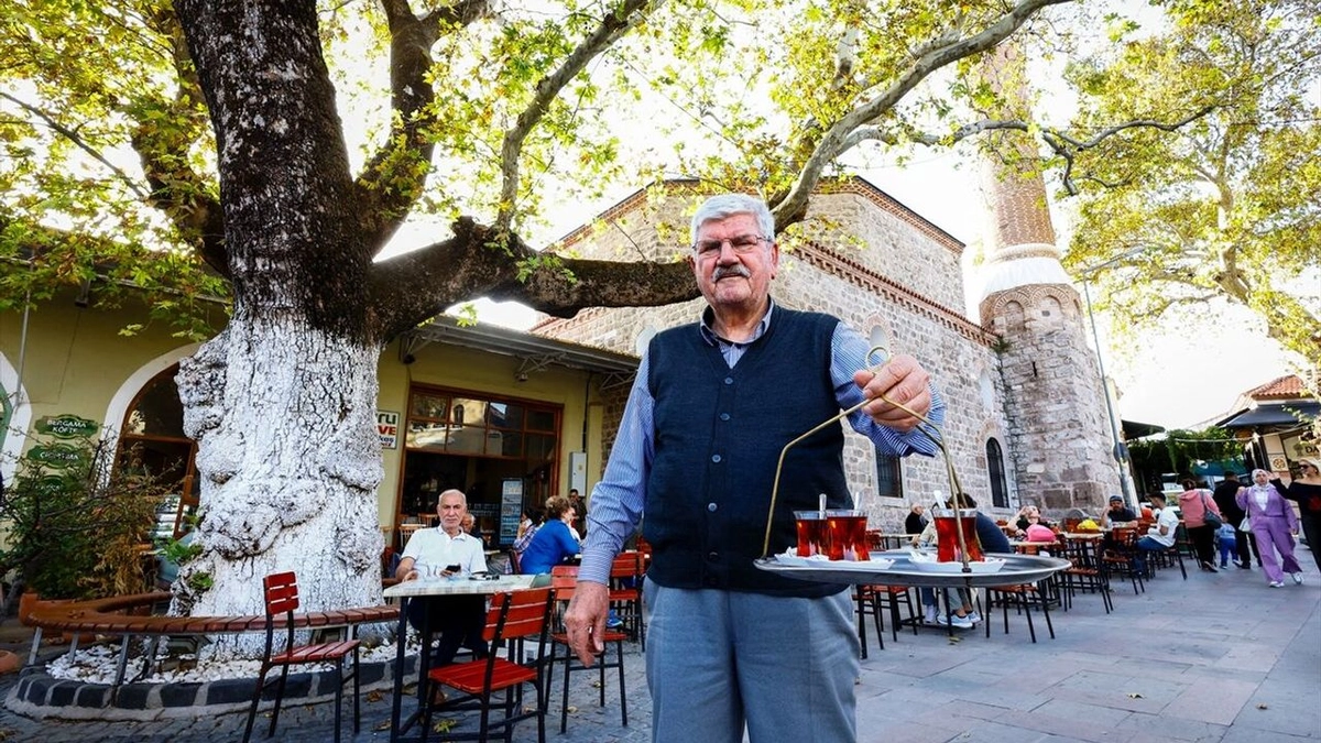 Adil Gürkaş Bergama’da yaklaşık 47 yıldır tarihi çınarın altında