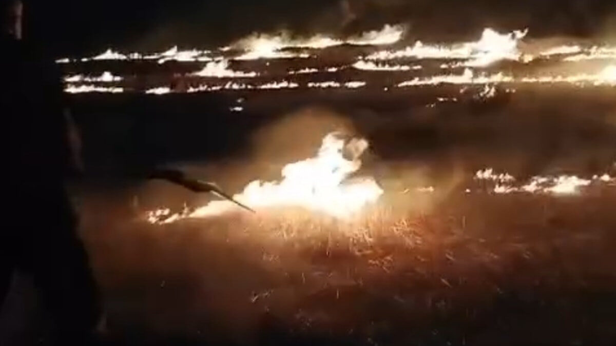 Adıyaman'da anız yangını