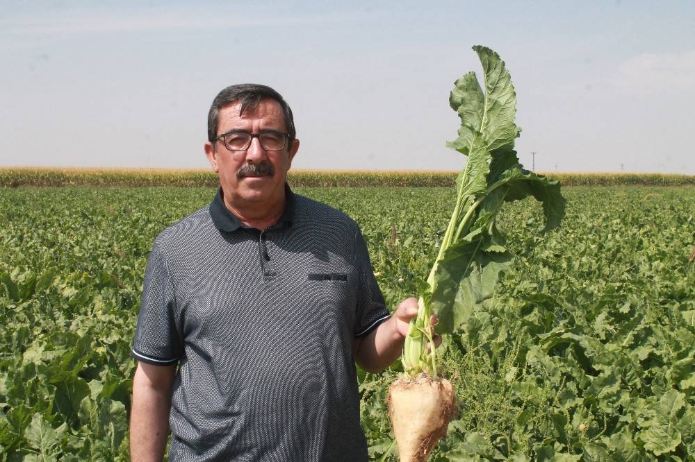 ahmet-bestil.jpg