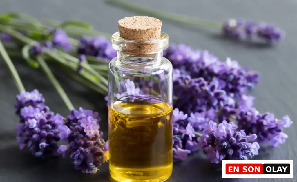 Taze lavanta çiçekleriyle birlikte sergilenen doğal lavanta yağı; rahatlatıcı aromasıyla bilinen cam şişede saf uçucu yağ.