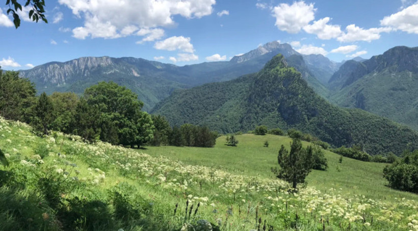 Avrupa’nın en tenha ve gizemli ormanı: Bosna Hersek’in saklı cenneti Perućica - Resim : 3