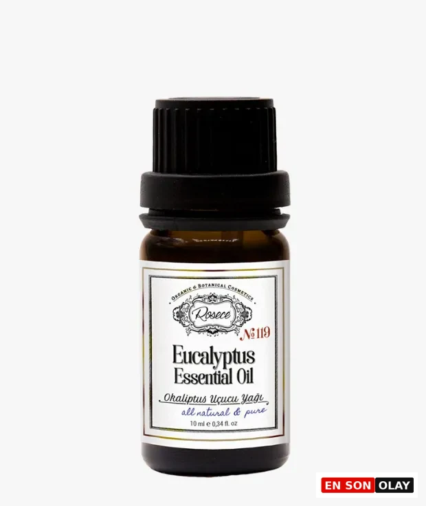 Roscee Eucalyptus Essential Oil okaliptus uçucu yağı 10 ml aromaterapi cam şişe okaliptus yağı