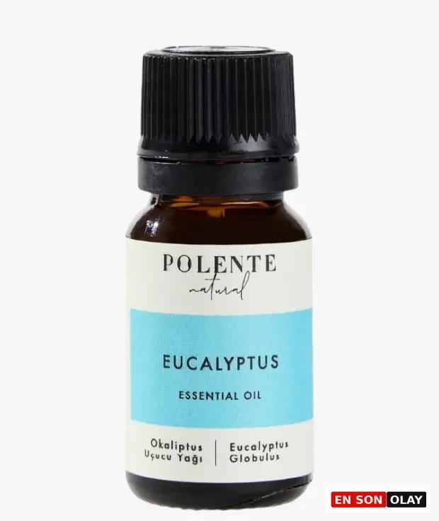Polente Natural okaliptus uçucu yağı Eucalyptus globulus aromaterapi için cam şişe essential oil