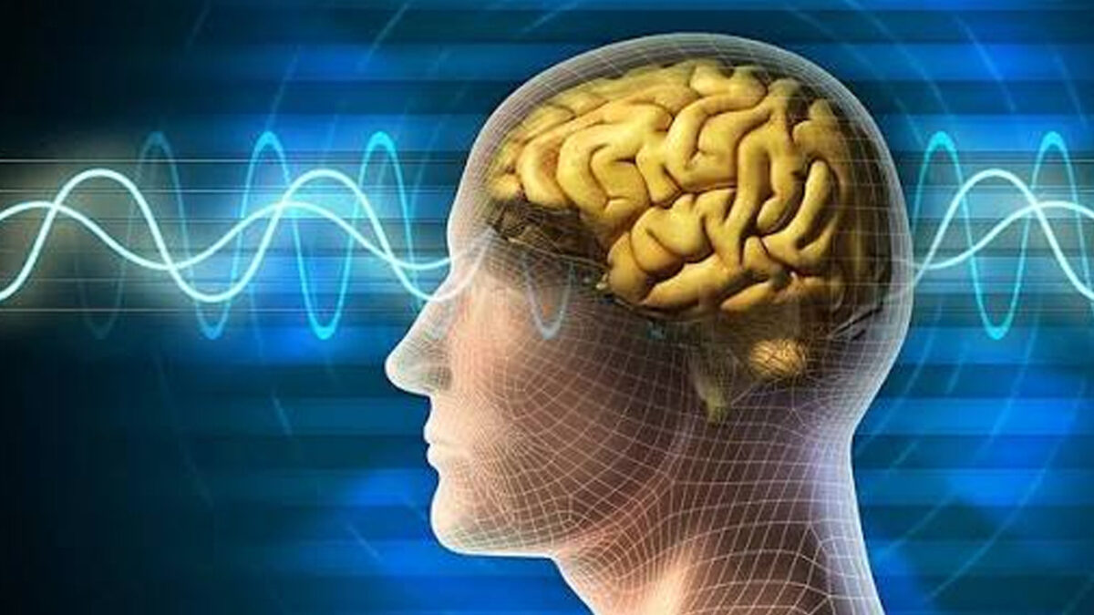 Beynin gizemlerini çözen buluşa dev ödül: Sinir hücreleri ışıkla kontrol ediliyor