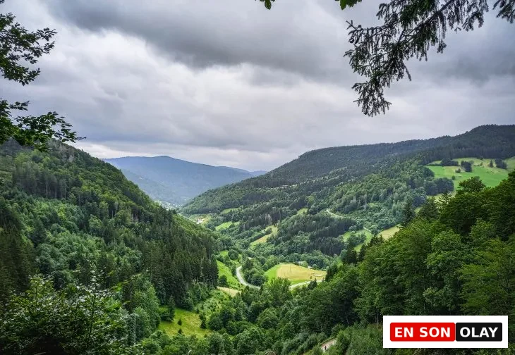 Almanya’nın Kara Ormanları’nda pastoral bir yürüyüş rotası. Yemyeşil doğa ve sakin vadilerle çevrili huzurlu bir patika.