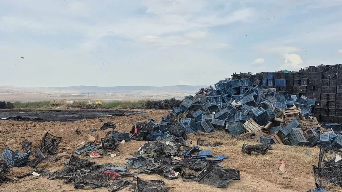 Çıkan yangında binlerce plastik kasa yandı