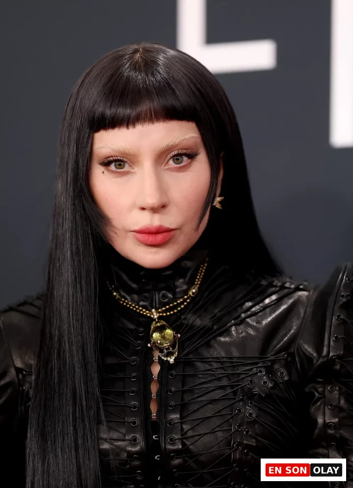 Lady Gaga, 67. Yıllık Grammy Ödülleri'nde, siyah küt perçemli uzun saçları, beyazlatılmış kaşları ve pembe dudaklarıyla soğuk cilt alt tonu görünümünü sergiledi.