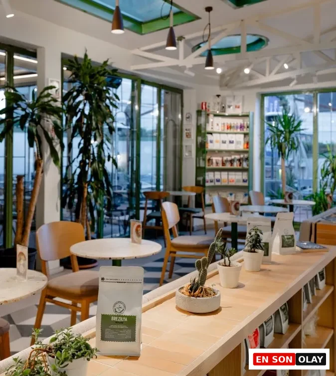 Yeşil çerçeveli geniş cam pencerelerden doğal ışık alan, modern mobilyaları ve raflarında Brezilya kahveleri bulunan ferah bir kafe iç mekanı, İstanbul'da verimli çalışmak için ideal çalışma mekânlarından biri olan Fuga Coffee'nin huzurlu ve estetik atmosferini yansıtıyor.