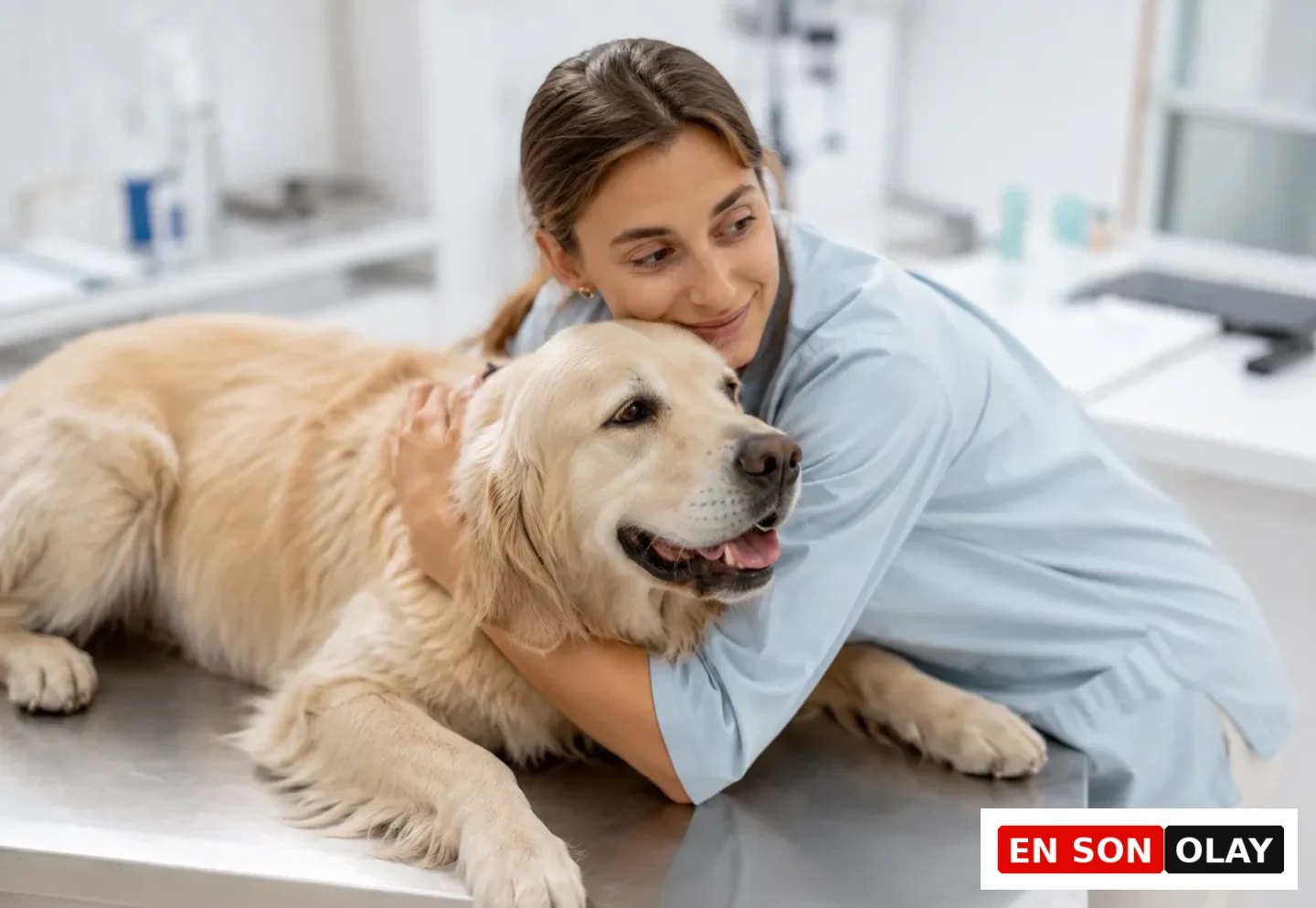 Bir veteriner kliniğinde, açık mavi üniforma giymiş, gülümseyen bir kadın, muayene masasında yatan sakin bir Golden Retriever köpeği şefkatle kucaklıyor ve köpek bit-pire kontrolü gibi rutin sağlık kontrolleri için rahatlamasına yardımcı oluyor.