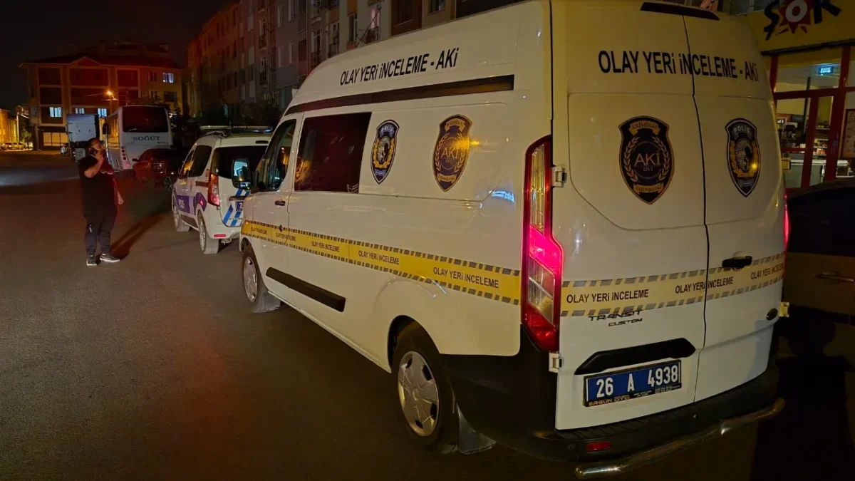 Geri manevra yapan kamyonetin altında kalan yaşlı kadın hayatını kaybetti