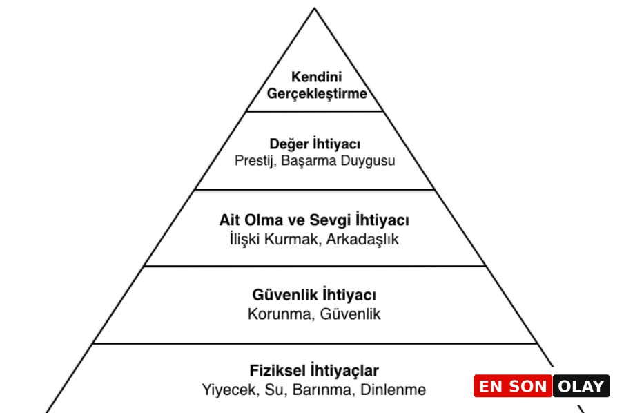 Hayat Amacını Bulma Rehberi: İkigai