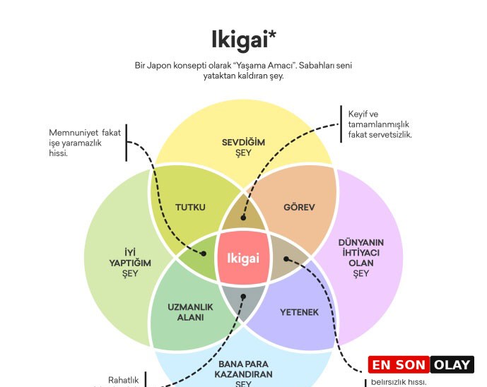 Hayat Amacını Bulma Rehberi: İkigai