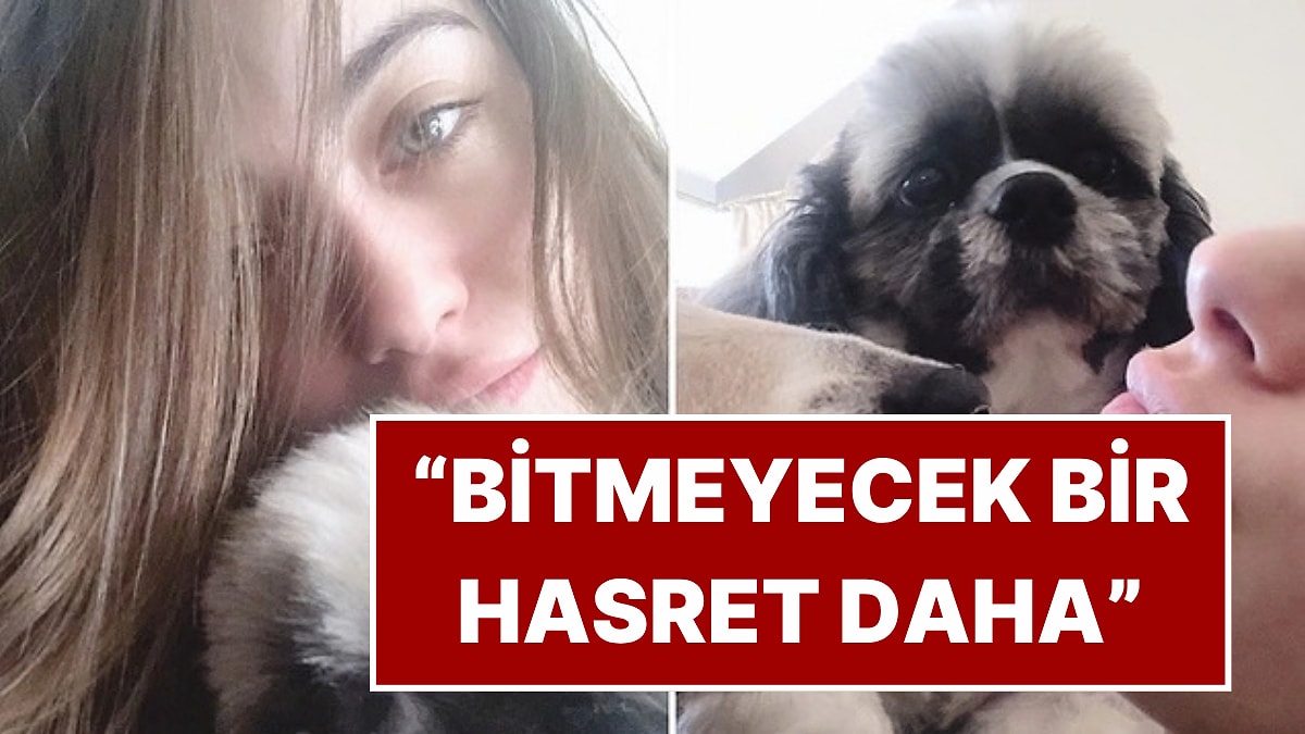 Hazal Kaya'nın 12 Yıllık Can Dostu Köpeği Murphy Hayatını Kaybetti