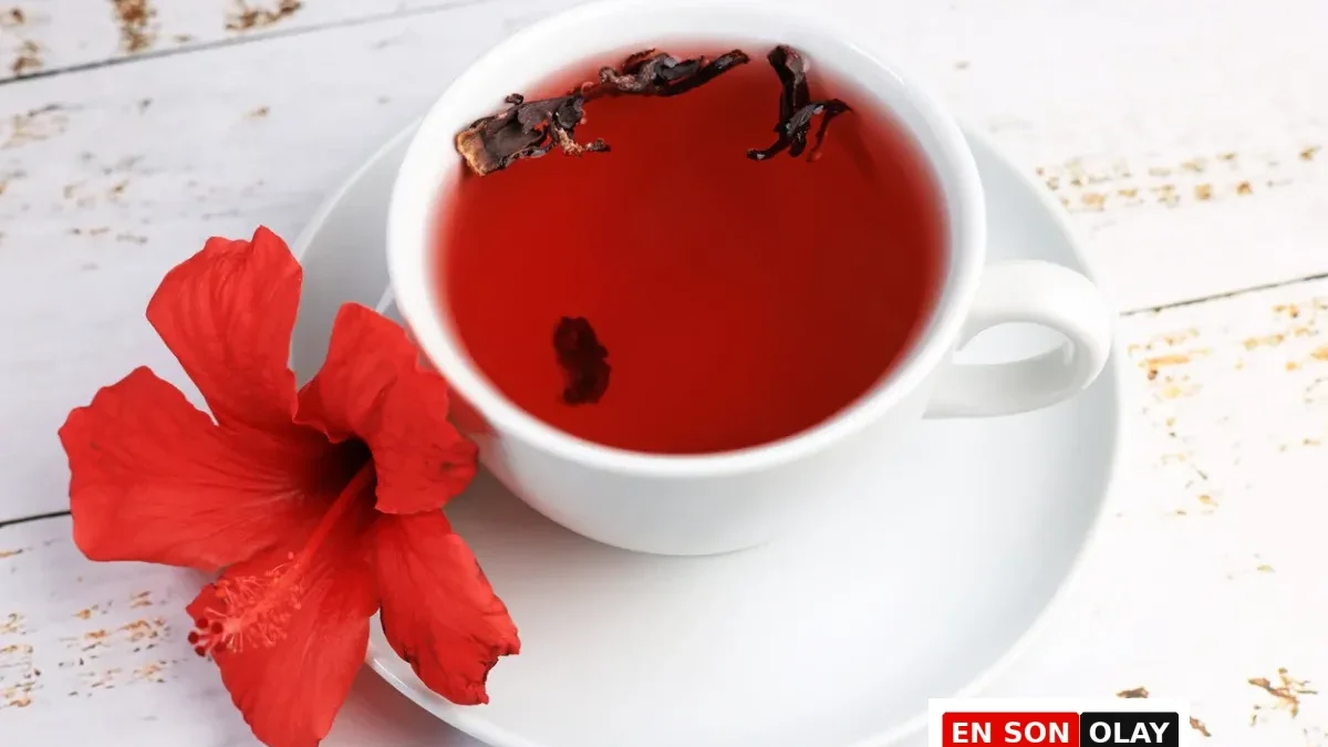 Hibiskus Çayı Faydaları: Nedir, Nasıl Hazırlanır ve Bilmeniz Gereken Tüm Mucizeleri