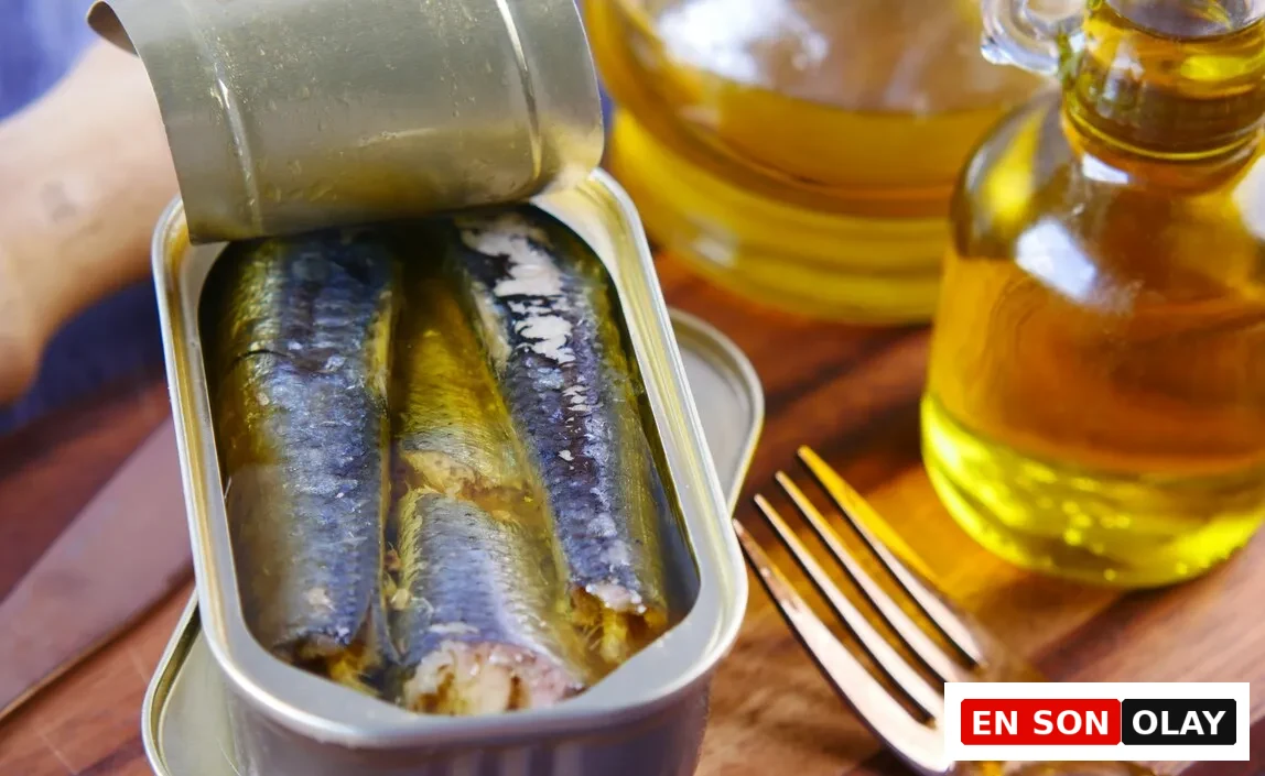 Zeytinyağlı konserve sardalya, doğal omega 3 kaynağı ve EPA DHA içeren yağlı balık