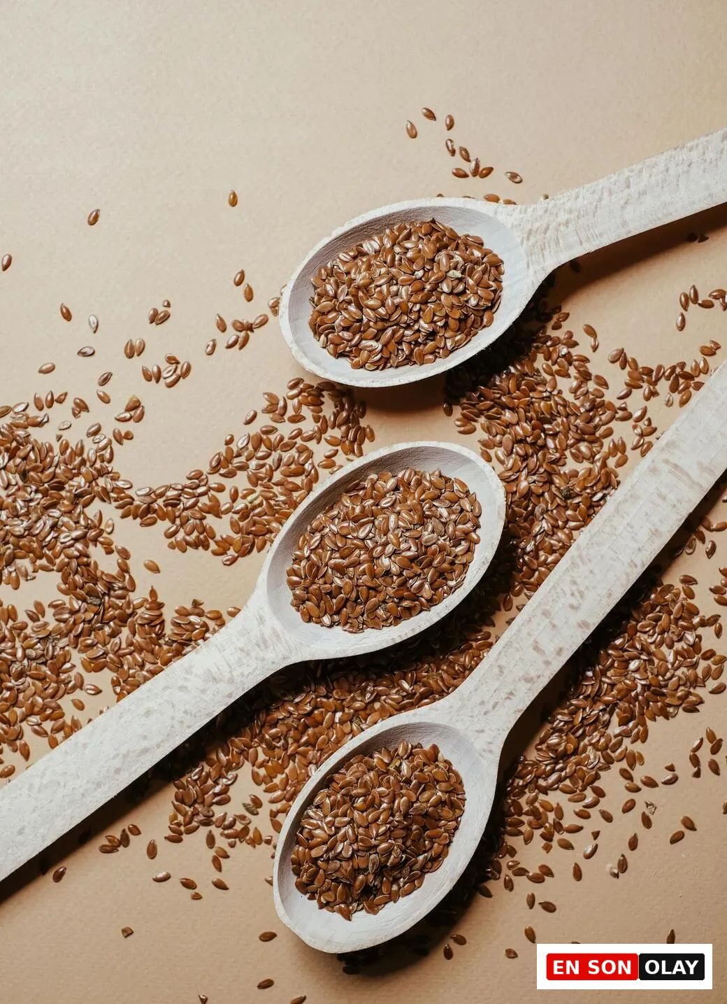 Kaşıkta keten tohumu, bitkisel omega 3 kaynağı ve ALA içeren besin