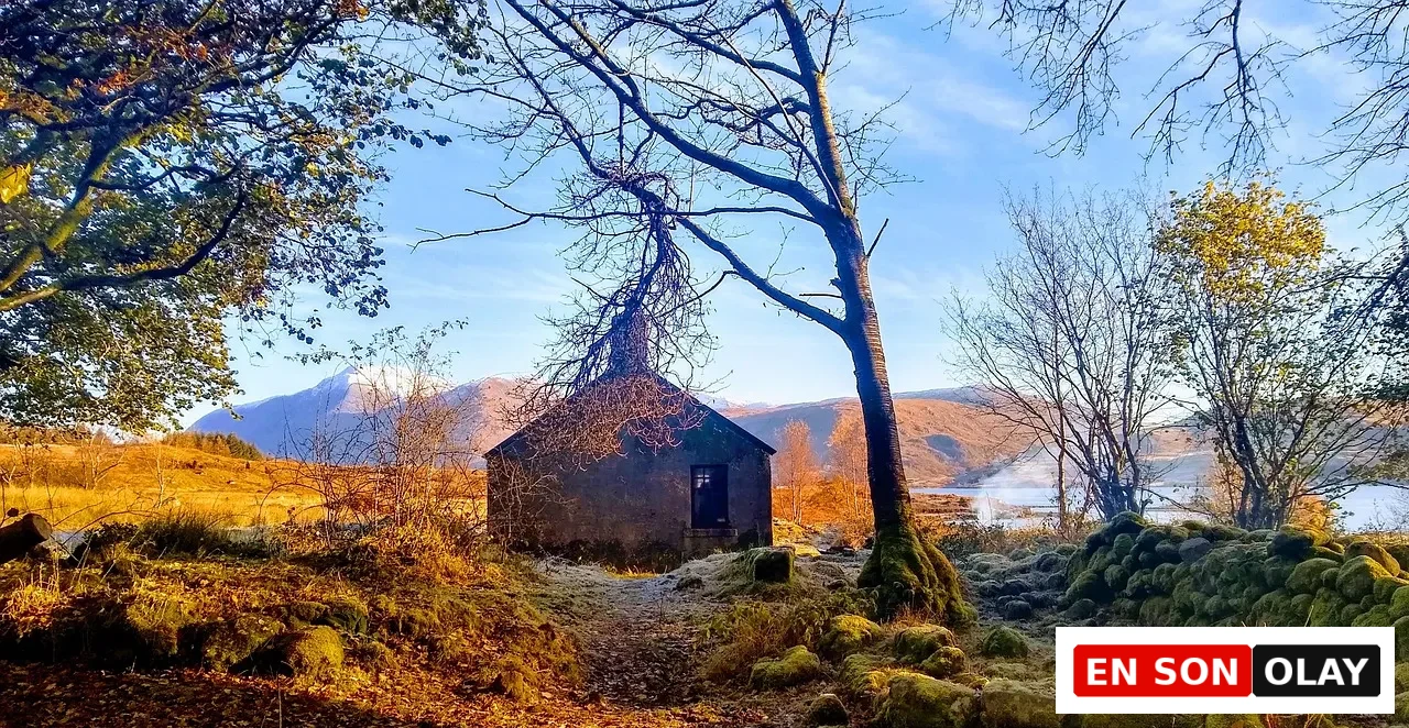 İskoçya Highlands bölgesinde ormanlık alanda yer alan geleneksel taş bothy kulübesi ve sonbahar manzarası