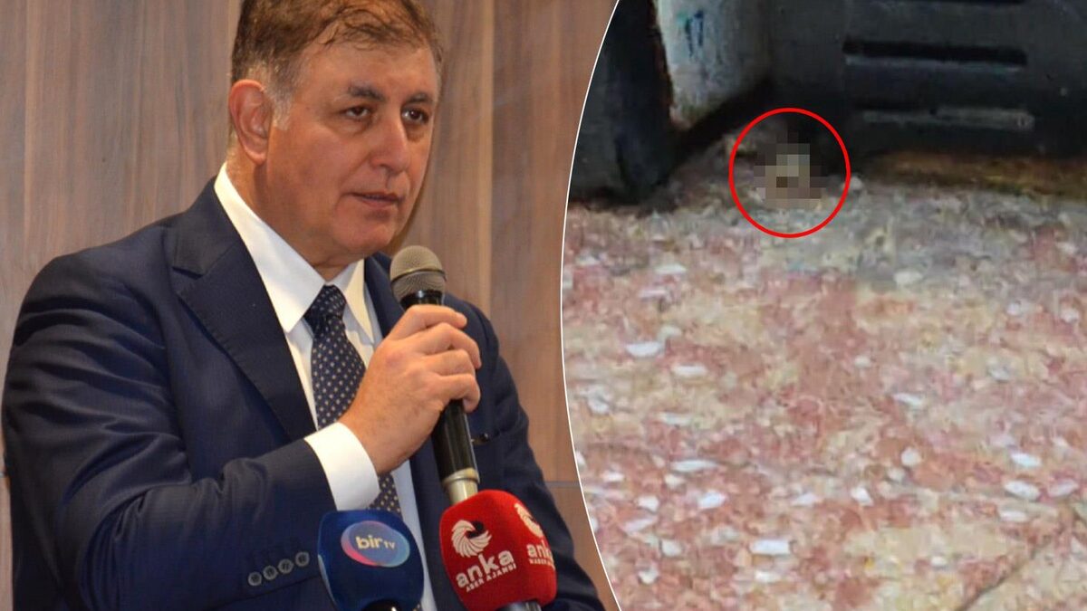 İzmir'de skandal görüntü! Videoyu izleyenler Cemil Tugay'ı etiketledi: Gerekeni yapın