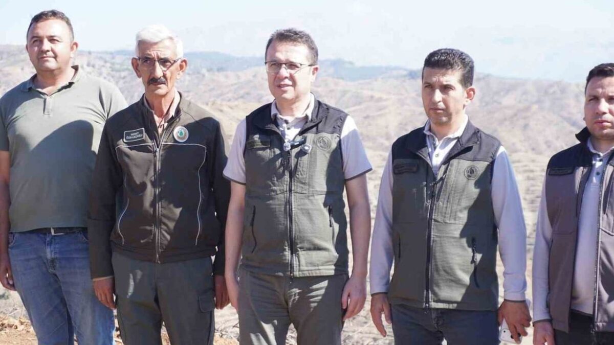 Kahramanmaraş'ta yangın sonrası 1 milyon fidanla toprak yeniden kazanılacak