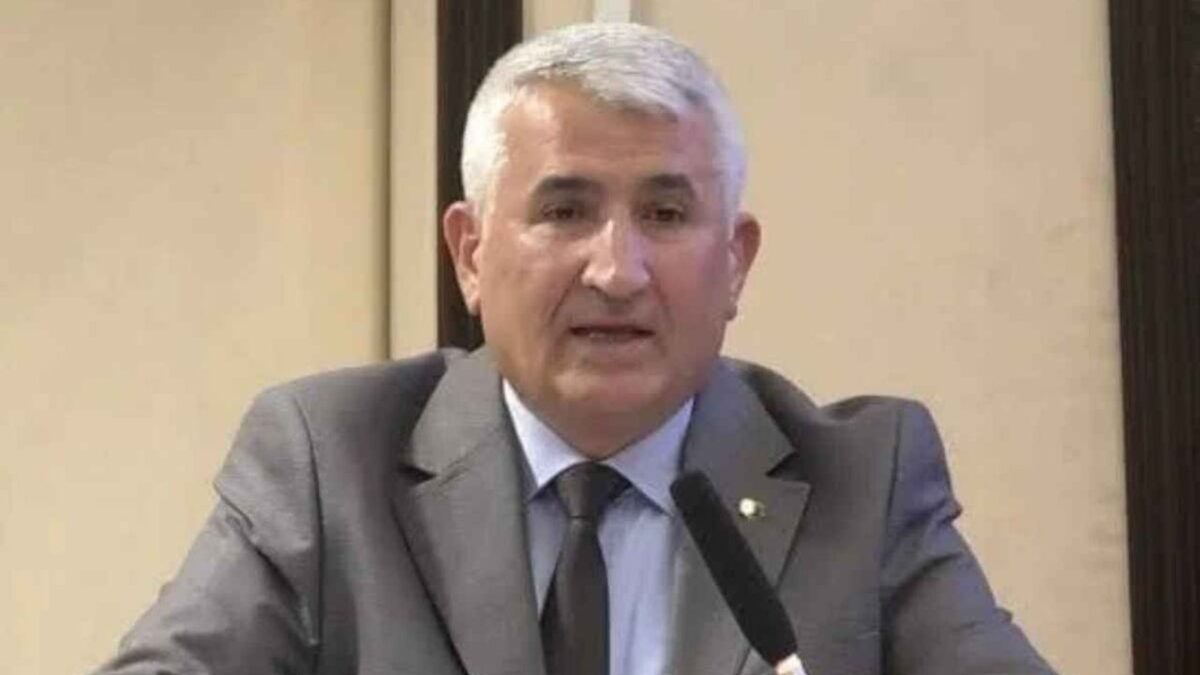 Kayseri’de sokak kedileri için önerge verdi! Belediyeden ret geldi