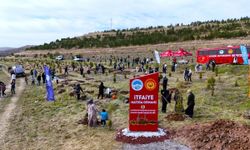 Kayseri’de 100. yıla özel hatıra ormanı! 500 fidan toprakla buluştu